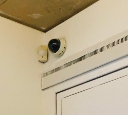 8z4htx6ptw2nlt5fvlakeq_thumb_7cd