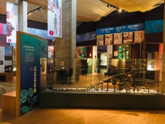 takfyad0qs2qaoopuqrssq_thumb_80c